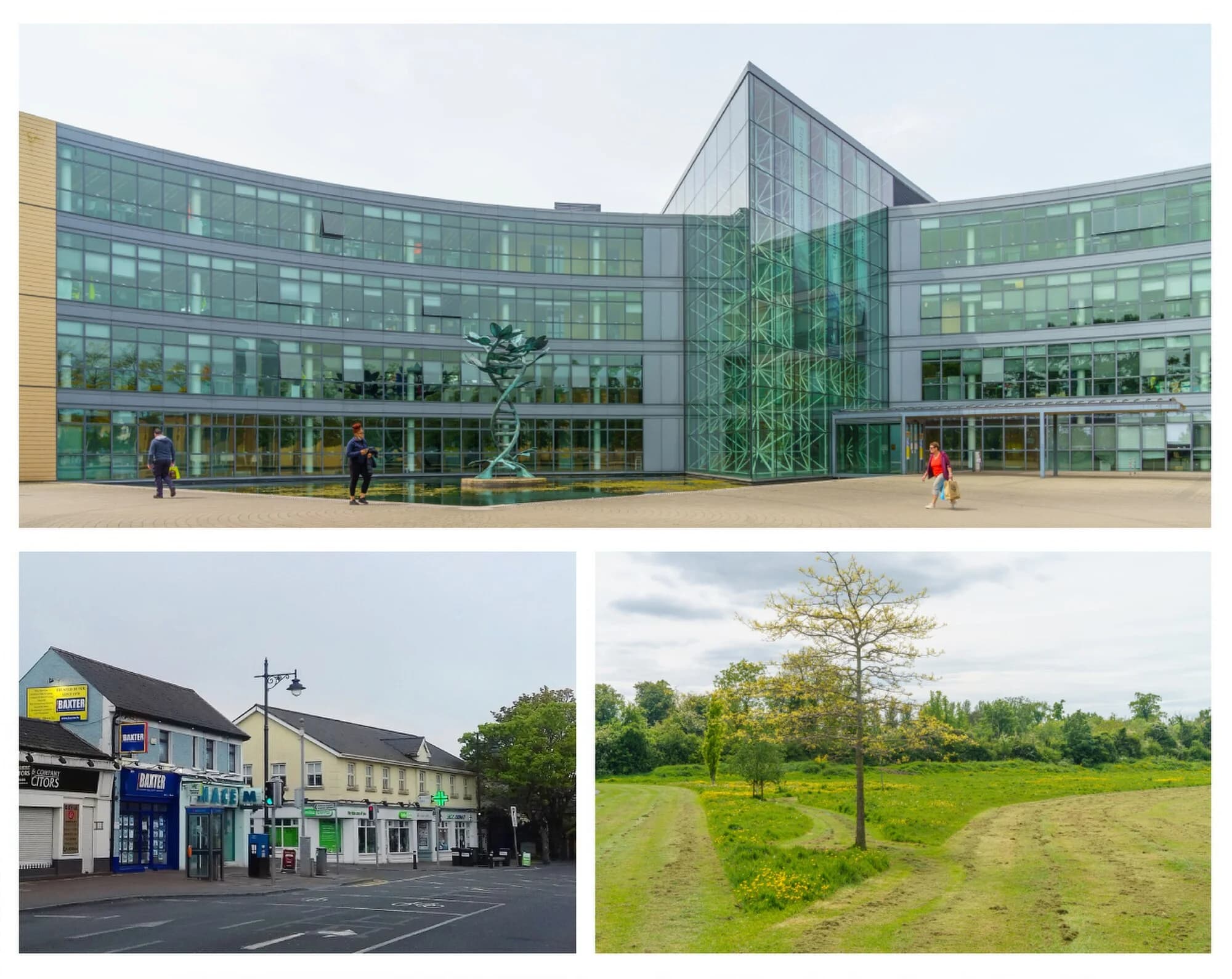 Vets in Blanchardstown