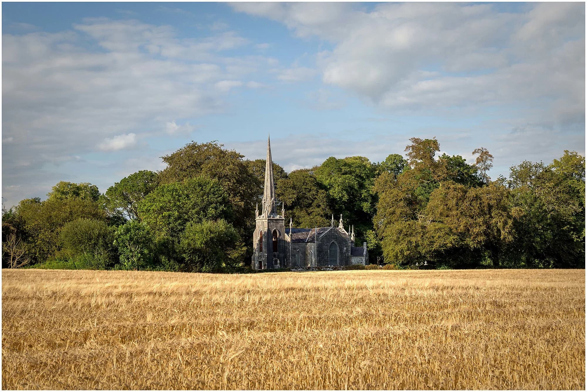 Vets in Buttevant