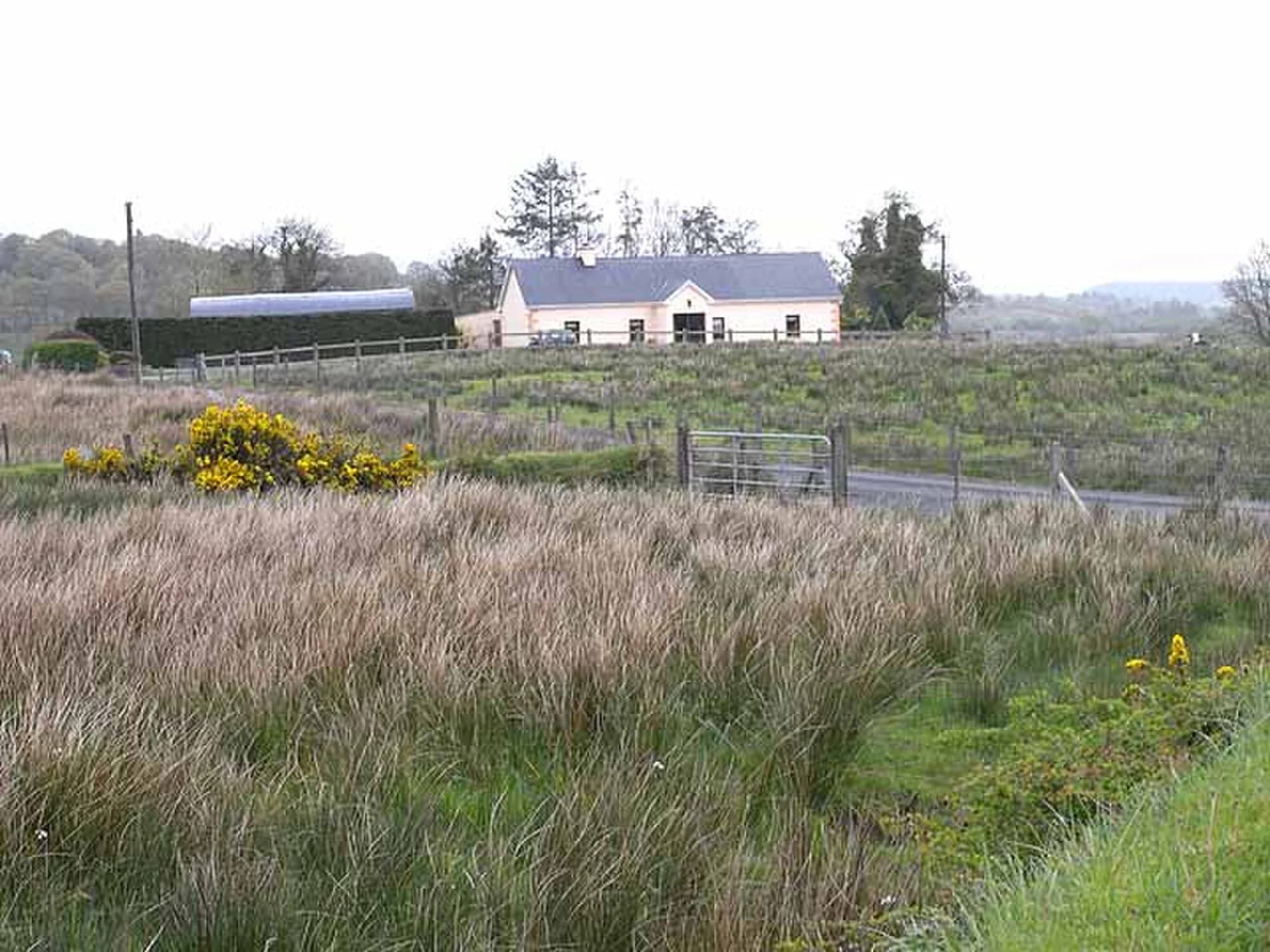 Vets in Carrick On Shannon